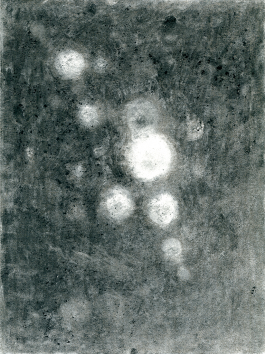 Yoriko Seto